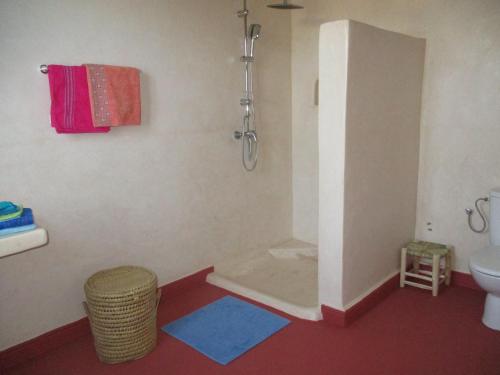 a bathroom with a shower and a toilet and a sink at Dar Mozart in Essaouira