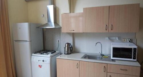 Kuchyň nebo kuchyňský kout v ubytování izmir Tatil Evi Beach Resort Seferihisar
