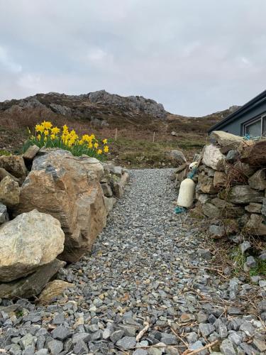 a stone path with yellow flowers on a hill at Mary’s Seaview Clifden in Galway