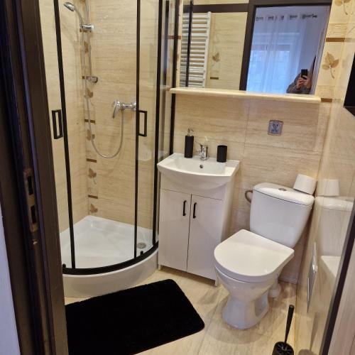 a bathroom with a toilet and a shower and a sink at ewja 3 in Sulęcin