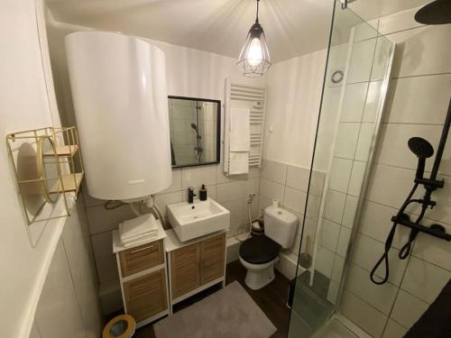 La salle de bains est pourvue de toilettes, d'un lavabo et d'une douche. dans l'établissement Le Bill'ppart - Easy Life, à Bourgoin-Jallieu