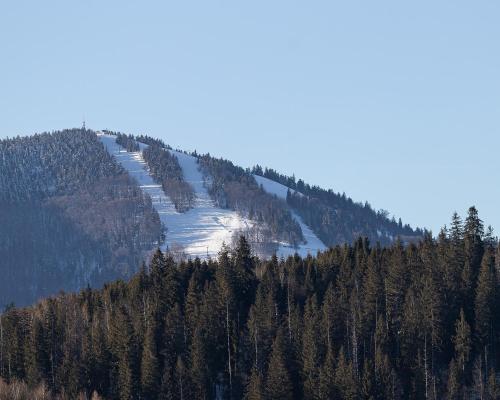 a snow covered mountain with trees on it at Апарт-Готель "Панщина" in Slavske