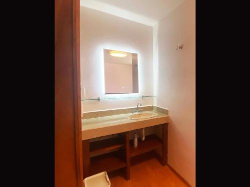 uma casa de banho com um lavatório e um espelho em Cozy and private Suite in CDMX 5 em Cidade do México
