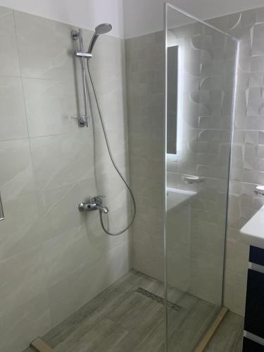 a shower with a glass door in a bathroom at Vladimir Estate Hotel in Gjirokastër