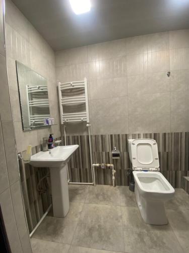 ein Bad mit einem Waschbecken und einem WC in der Unterkunft 3 Cosy apartment near Airport EVN in Yerevan