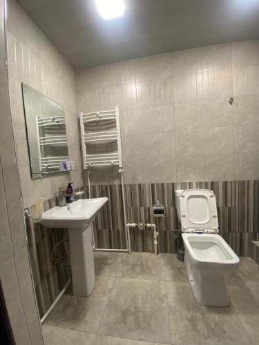 a bathroom with a sink and a toilet at 3 Cosy apartment near Airport EVN in Yerevan