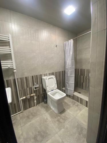 a bathroom with a toilet and a shower at 3 Cosy apartment near Airport EVN in Yerevan