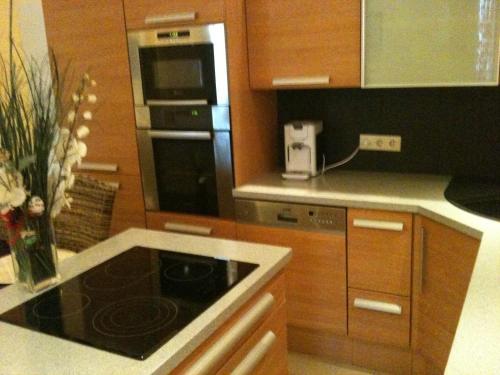 una cucina con piano cottura nero e forno a microonde. di Apartment Alina a Vienna