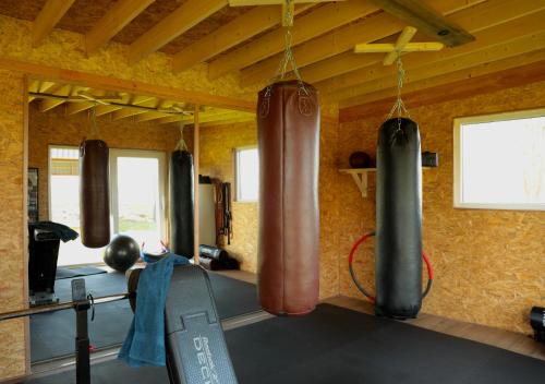 a gym with two punching bags hanging from the ceiling at Annense Pracht in Annen