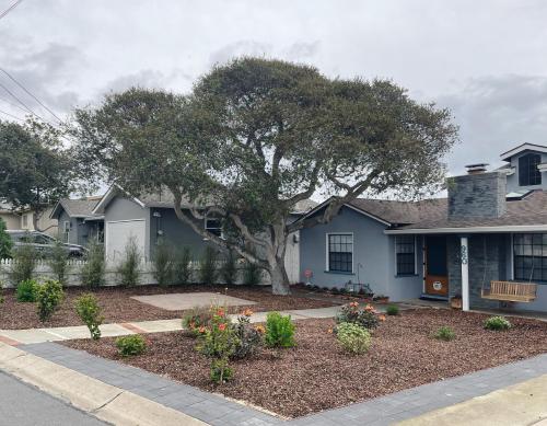 a house with a tree in the front yard at 3849 La Vista Portola home in Del Rey Oaks