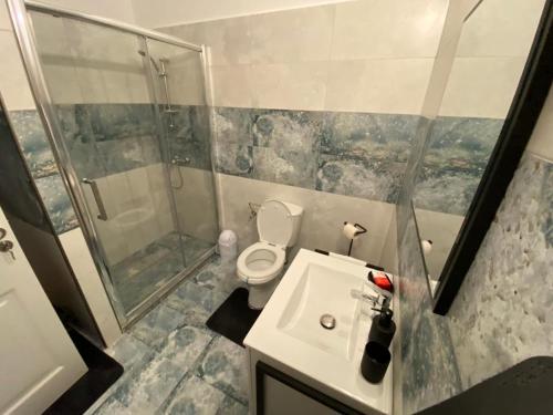 a bathroom with a toilet and a shower and a sink at TEN APARTAMENT in Eforie Nord