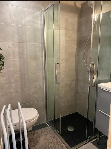 une salle de bain avec une douche avec des toilettes et un lavabo dans l'établissement Studio au centre du village, à Châteauneuf