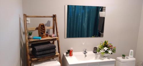 プナアウィアにあるFare Onavaiのバスルーム(洗面台、鏡、トイレ付)