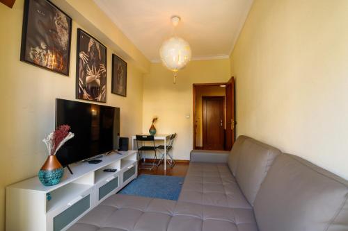 ein Wohnzimmer mit einem Sofa und einem Flachbild-TV in der Unterkunft Porto Central Home in Porto
