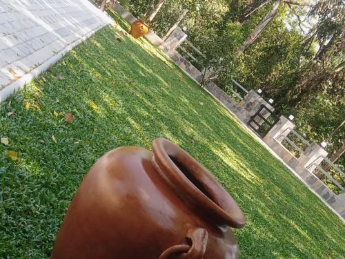 a bronze statue of a rabbit on a field of grass at White House Family Stay in Maspota