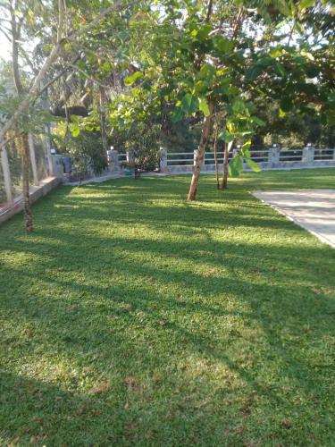a field of grass with trees and a fence at White House Family Stay in Maspota