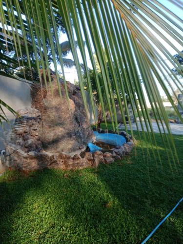 a fake island in front of a palm tree at White House Family Stay in Maspota