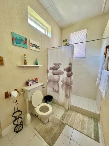 a bathroom with a toilet and a shower at Cozy 1 bedroom cottage w/pool in Bridgetown