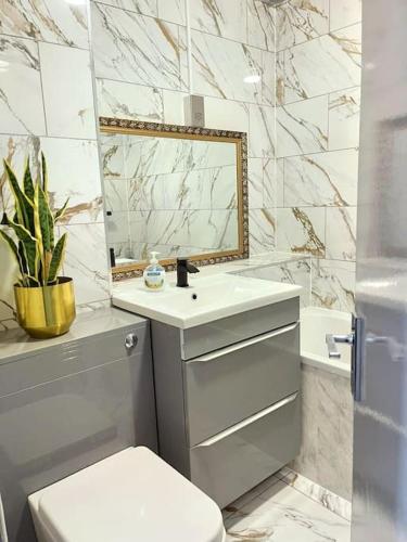 a bathroom with a toilet and a sink and a mirror at Lovely 3 Bed Ground Floor Apartment Near QE Hospital Harborne Birmingham New in Birmingham