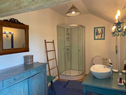 a bathroom with a shower and a sink and a mirror at Maison de campagne idéale pour familles, cavaliers, animaux acceptés, avec jardin clos et tout équipé. - FR-1-489-172 in Barrais-Bussolles