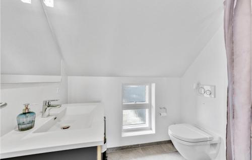 a white bathroom with a toilet and a sink at 8 Bedroom Amazing Home In Ringkbing in Ringkøbing
