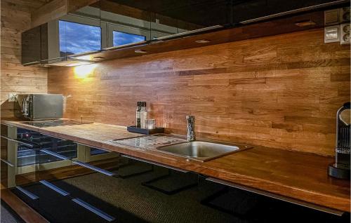 a kitchen with a sink and a wooden wall at 5 Bedroom Cozy Home In Hemsedal in Hemsedal