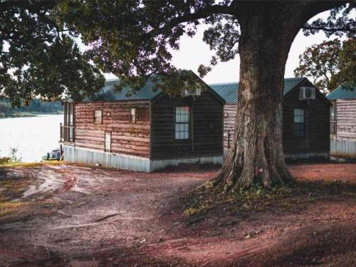 una baita di tronchi con un albero di fronte di Lakeview Cedar Cabin - Kicks 66 - 4 a Mead