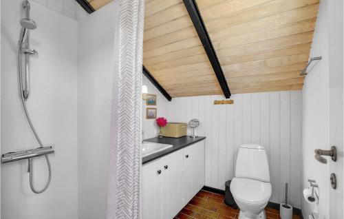 尼斯泰茲的住宿－3 Bedroom Lovely Home In Nysted，一间带白色卫生间和木制天花板的浴室