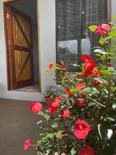 a plant with red flowers in front of a door at Verde Amanecer in Bijagua