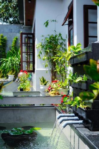 a garden with potted plants and a water fountain at Chi Homestay #4 in Hue