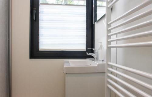 een badkamer met een wastafel en een raam bij Maasparel in Well