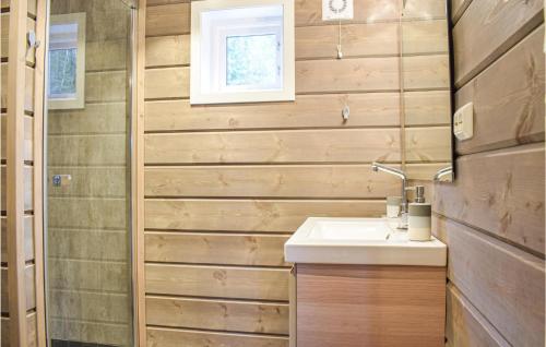 baño con lavabo y paredes de madera en Nice Home In Vrdal With House A Mountain View, en Vradal