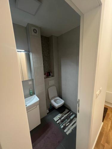 a small bathroom with a toilet and a sink at Apartman 34 in Bjelašnica