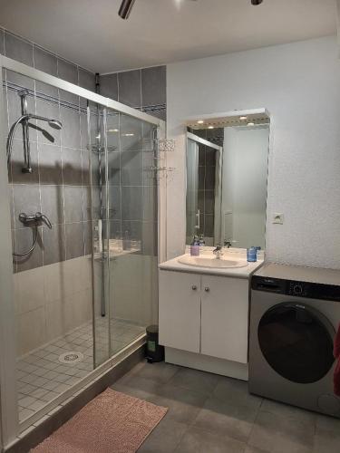 une salle de bain avec douche et machine à laver dans l'établissement ROOFTOP 3 CHAMBRES, TERRASSE, GARAGE, à Vénissieux