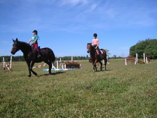 Катание на лошадях на территории кемпинга или поблизости