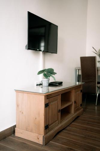 a television on top of a wooden cabinet with a potted plant at BT Seaside Cottages in Mkunguni