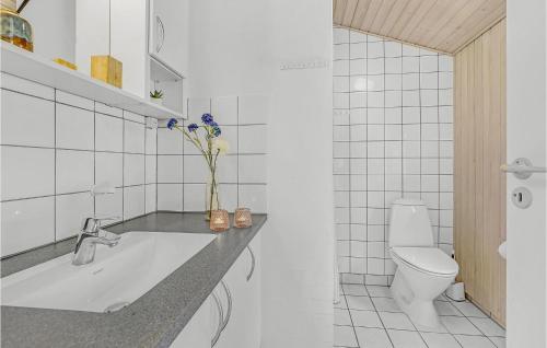 Vester SømarkenにあるGorgeous Home In Nex With Wifiのバスルーム(洗面台、トイレ付)
