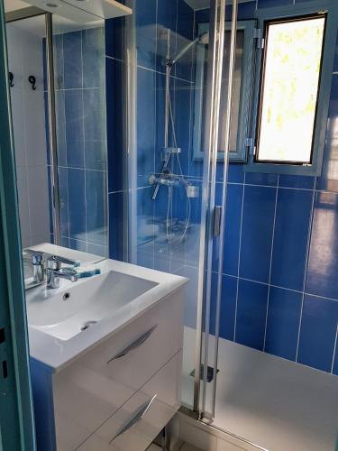 une salle de bain avec un lavabo et une douche dans l'établissement Marina sur presqu’île des Capellans (Wifi) 6 couchages, à Saint-Cyprien