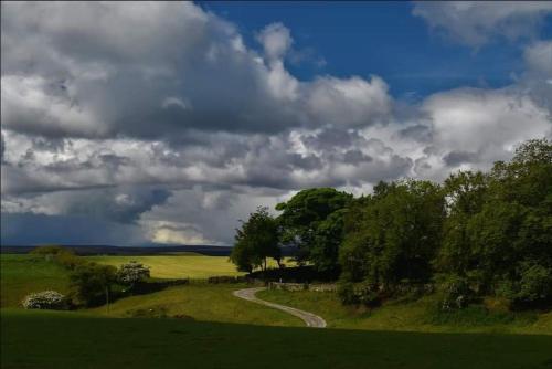 a winding road in a field under a cloudy sky at Large countryside home in Tow Law