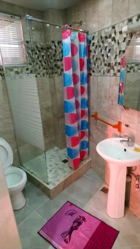 a bathroom with a sink and a shower and a toilet at Guest-House alquiler in Santo Domingo