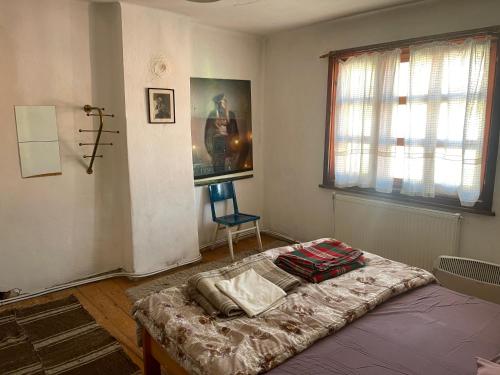 um quarto com uma cama e uma cadeira em Das Landhaus em Bachevo