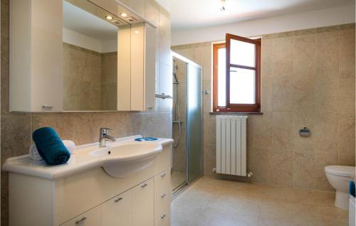 a bathroom with a sink and a mirror and a toilet at 3 Bedroom Cozy Home In Hr-52215 Vodnjan in Vodnjan