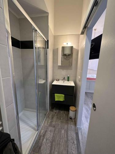 une salle de bain avec douche et lavabo dans l'établissement Cannes Studio situé dans la résidence Gallia Historique, à Cannes