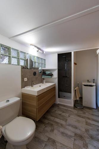 une salle de bain avec toilettes, lavabo et douche dans l'établissement Gites Provence et Nature - Ambiance familiale et conviviale en Luberon, à Cabrières-dʼAvignon