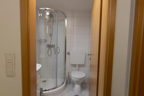 a bathroom with a shower and a toilet and a sink at Ferienwohnung am Bach in Oberkotzau