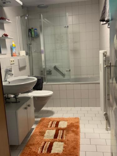 La salle de bains est pourvue d'un lavabo, de toilettes et d'une douche. dans l'établissement Ferienwohnung Sonnenschein, à Grenzach-Wyhlen