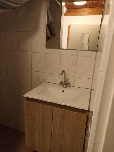 a bathroom with a sink and a mirror at Bungalow Sud-Harz Bleicherode onder in Bleicherode