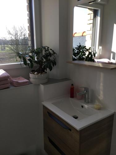 a bathroom with a sink and a window and plants at La Malvrais in Janzé