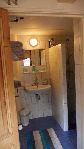 een badkamer met een wastafel, een toilet en een spiegel bij Appartement de Voshaar in Enschede