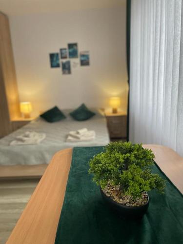 a potted plant sitting on a table in a bedroom at Island apartman in Odorheiu Secuiesc